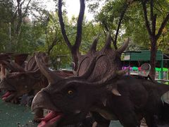 -西安市长乐公园