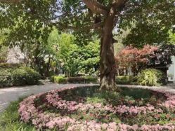 点击看大图 -莲生母婴月子中心(清水河公园店)