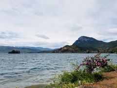 -小白鲨工夫潮膳(曲江店)