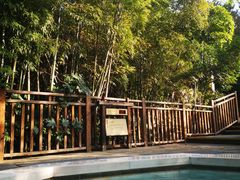 -天目湖涵田半山温泉