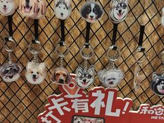 -和它·交个朋友·狗咖猫咖(爱琴海店)
