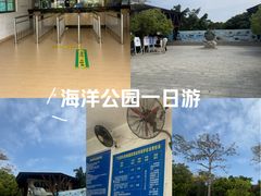 -广东惠东海龟国家级自然保护区