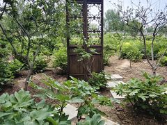 -洛阳市隋唐城遗址植物园