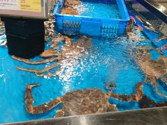 -盒马鲜生(岭南新世界店)