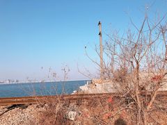 -海堤纪念公园