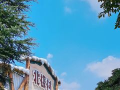 -海合安成都极地海洋公园