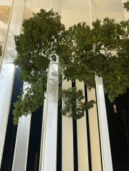 -DC大蔡婚礼策划(李公堤店)