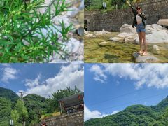 -秦岭风景区