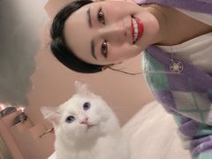 -猫儿山۰猫主题餐厅