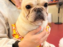 -和它·交个朋友·狗咖猫咖(爱琴海店)