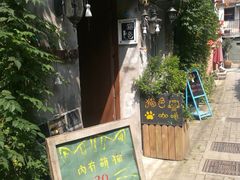 -猫色咖啡·猫咖