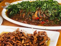 -老字号怡玺·藿香雅鱼(20年雅安店)