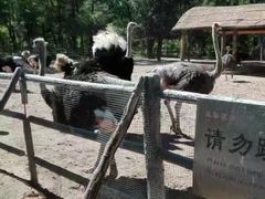 -秦皇岛野生动物园