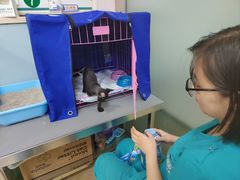 -小伙伴宠物医院•急重症转诊中心·老年专科·犬猫全科(北大街总院)
