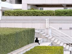 -厦门国家会计学院