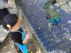 -北京鹿世界主题园