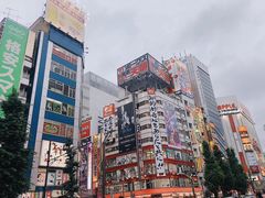 -秋叶原电器街