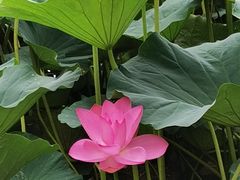 -长春市南湖公园