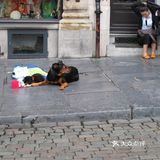 布鲁塞尔12小时攻略
