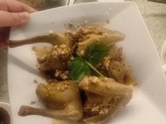 -百利鸽王(紫薇路店)