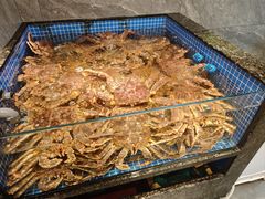 -东海怡品海鲜豆捞(舟宿夜江店)