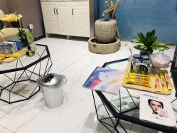 -三只熊皮肤管理中心