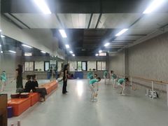 -舞蕾舞蹈(特长生校区)