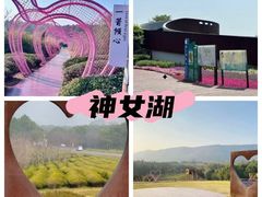 -报恩禅寺