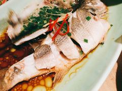 -新白鹿餐厅(城西银泰城店)