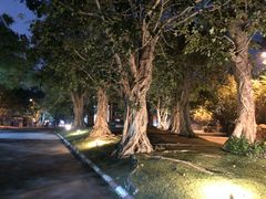 -清迈夜间动物园