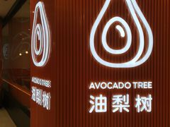 -油梨树 AVOCADO TREE(亮马桥店)