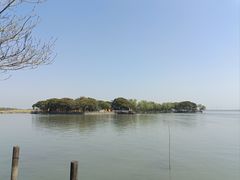 -同里湖度假村(二期店)