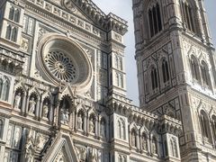 -圣母百花大教堂穹顶