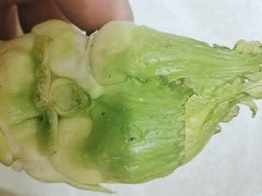 -不二心包子铺(二七广场店)