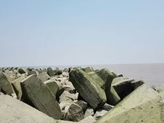 -南汇嘴观海公园