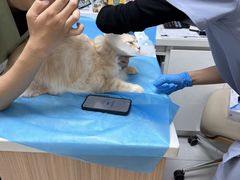 -达爱动物医院·犬猫分区·CT·复杂眼科(远洋山水分院)