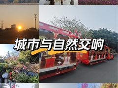 -海珠湖公园