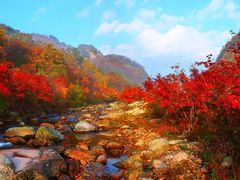 -丹东天桥沟景区