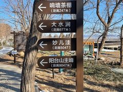 -阳台山自然风景区