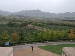 -北京张裕爱斐堡酒庄