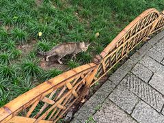 -盒马鲜生(杭州运河上街店)