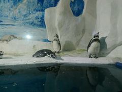-左海海底世界