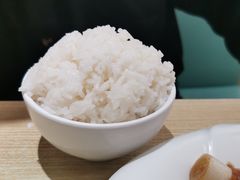 -紫光园·烤鸭(美术馆店)
