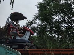 -朝阳公园游乐园