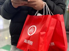 -海底捞火锅(铂澜大象城店)