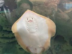 -珠海长隆海洋王国