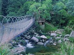 -海南热带雨林国家公园吊罗山景区