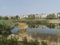 -两河城市森林公园