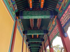 -香山公园