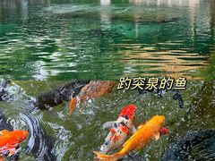 -济南大明湖景区